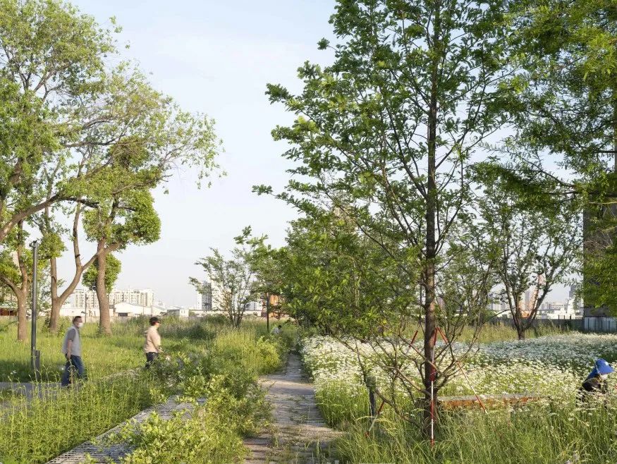 杨树浦六厂滨江公共空间更新·电站辅机厂东厂丨中国上海丨刘宇扬建筑事务所-179