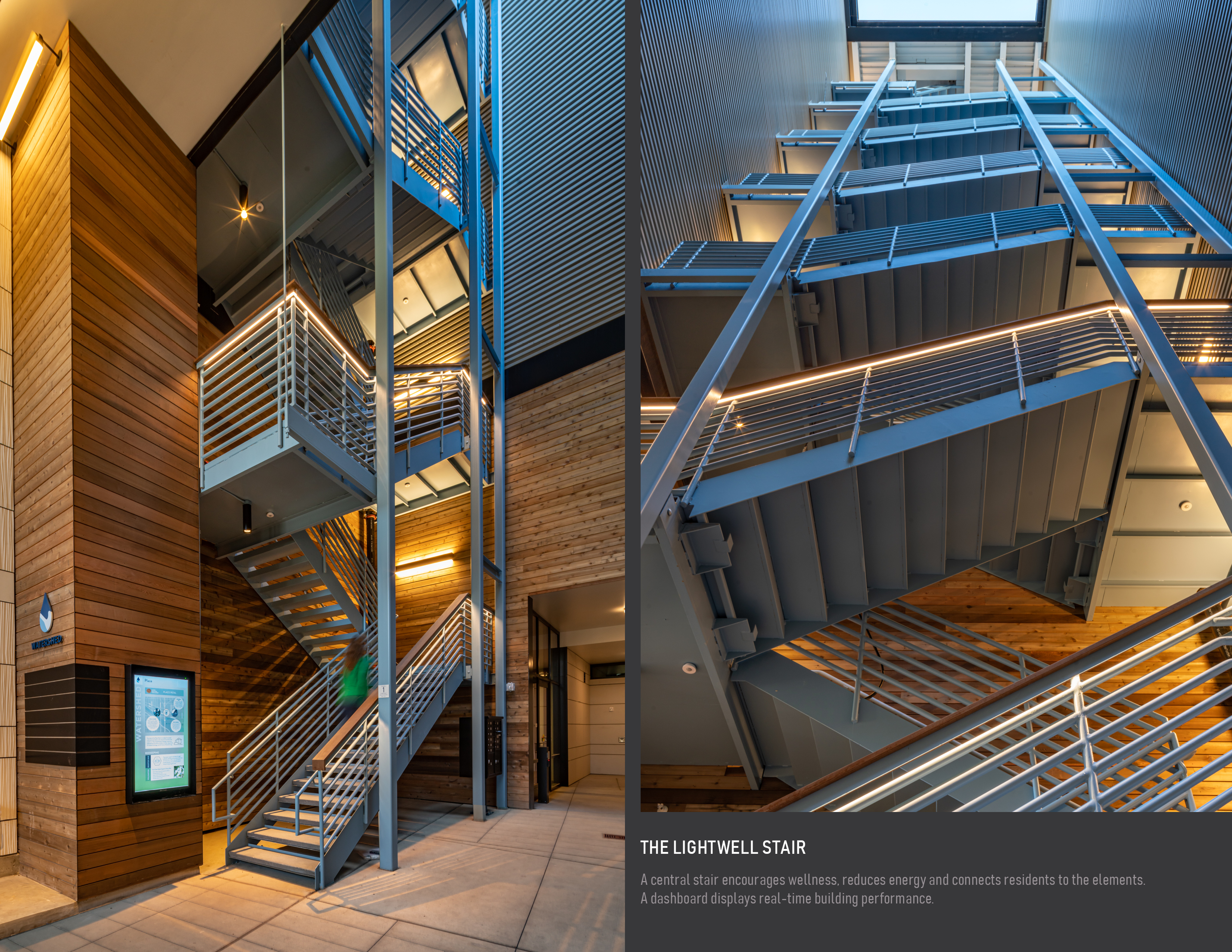 Watershed · 环保先锋的商业办公室设计丨美国西雅图丨Weber Thompson-20