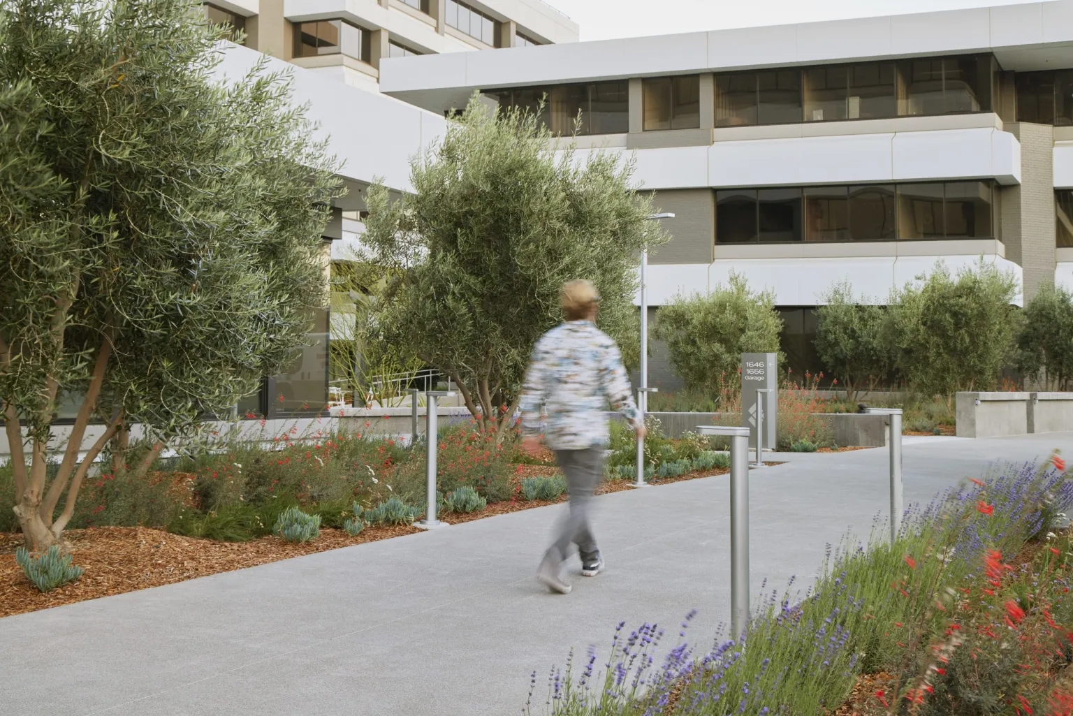 加州核桃溪·种植者广场丨Groundworks Office 设计事务所-27