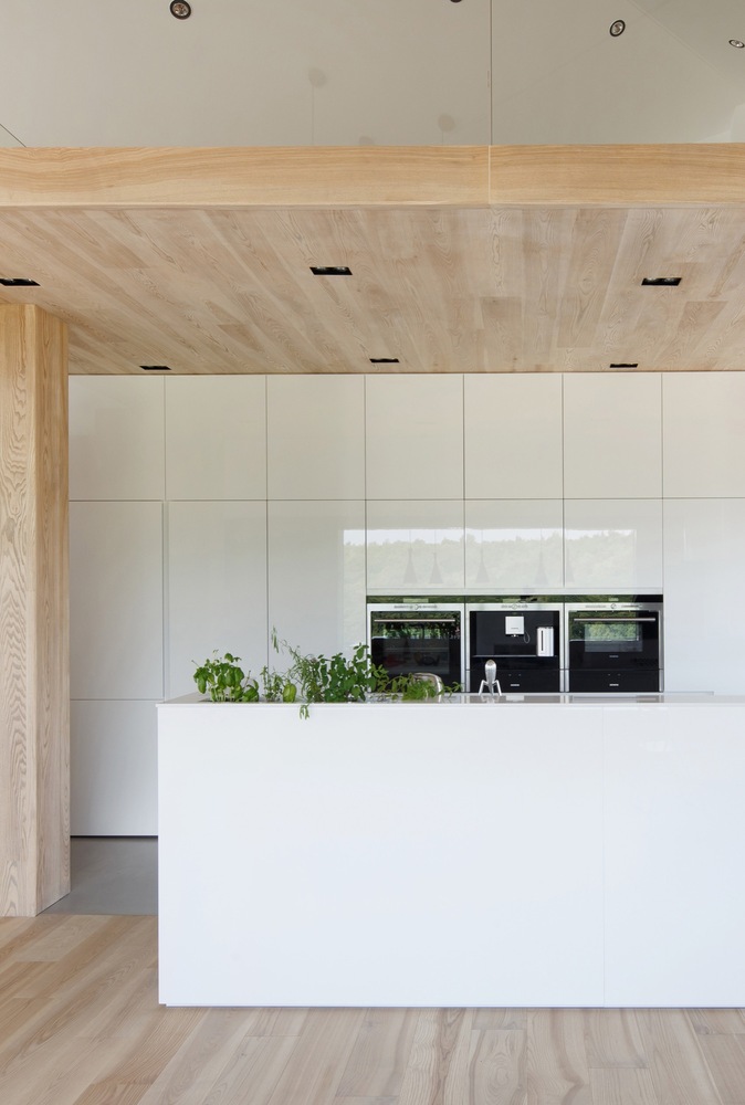 波兰 Krostoszowice 村庄的倾斜屋顶家园-50