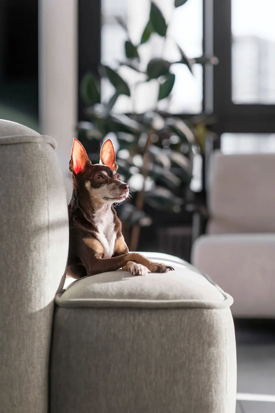 基辅 69 平米黑白绿时尚公寓设计-6