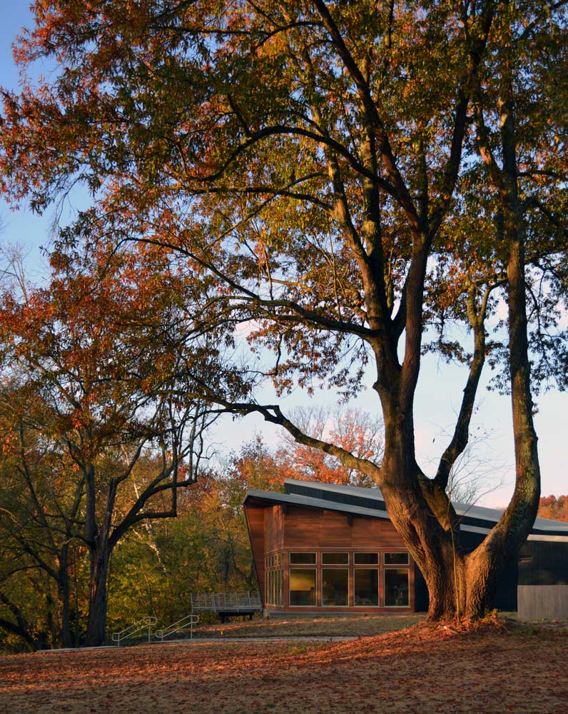 弗洛伊德河公园-37