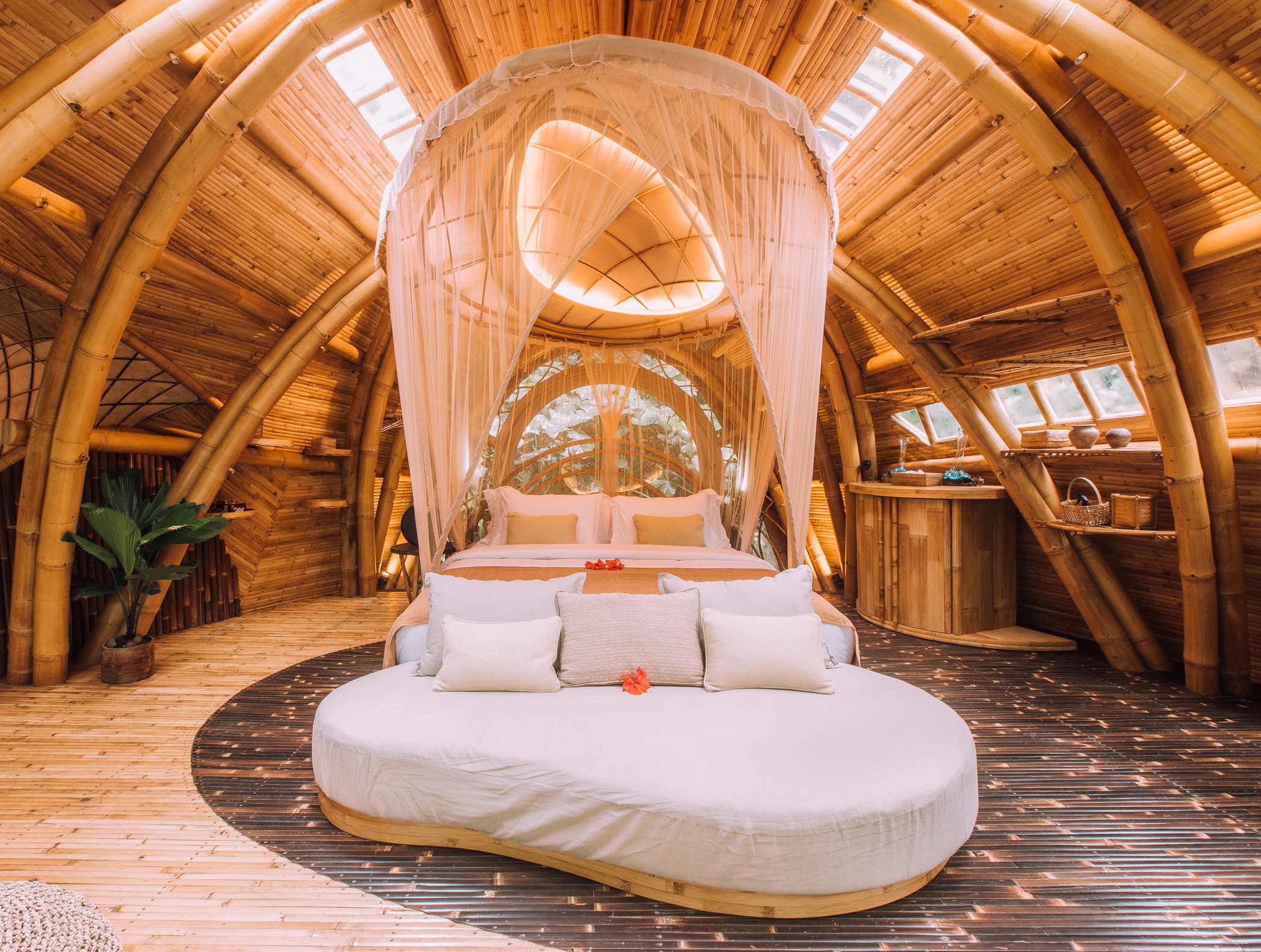 藏身之处茧蛹丨Studio WNA-11