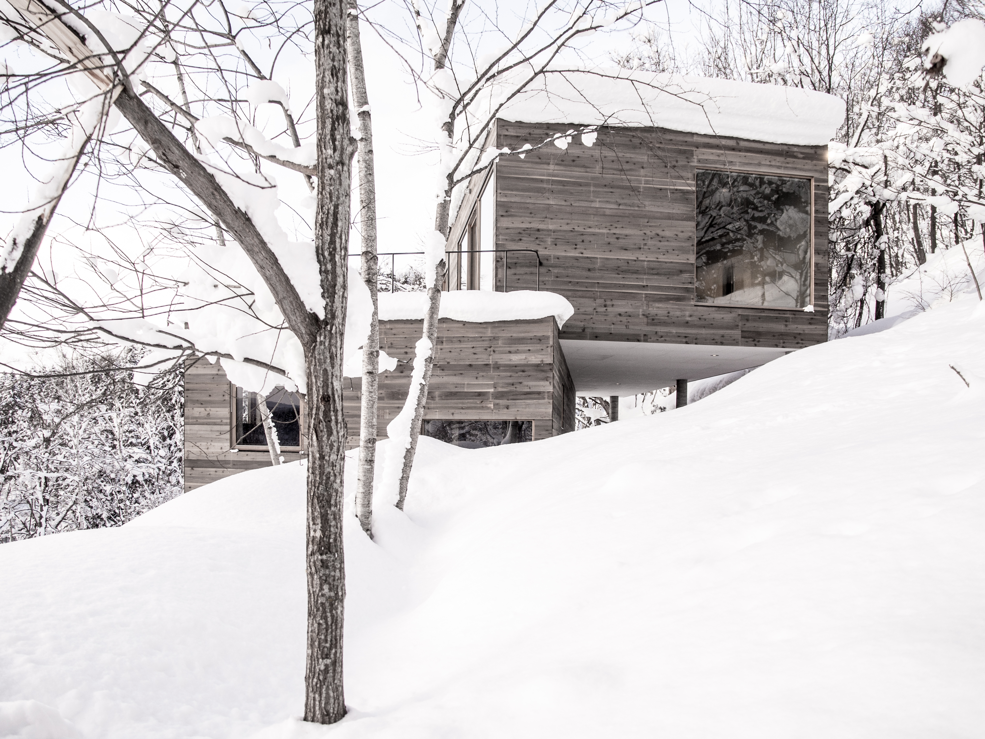 丨日本丨Florian Busch,Sachiko Miyazaki等-3