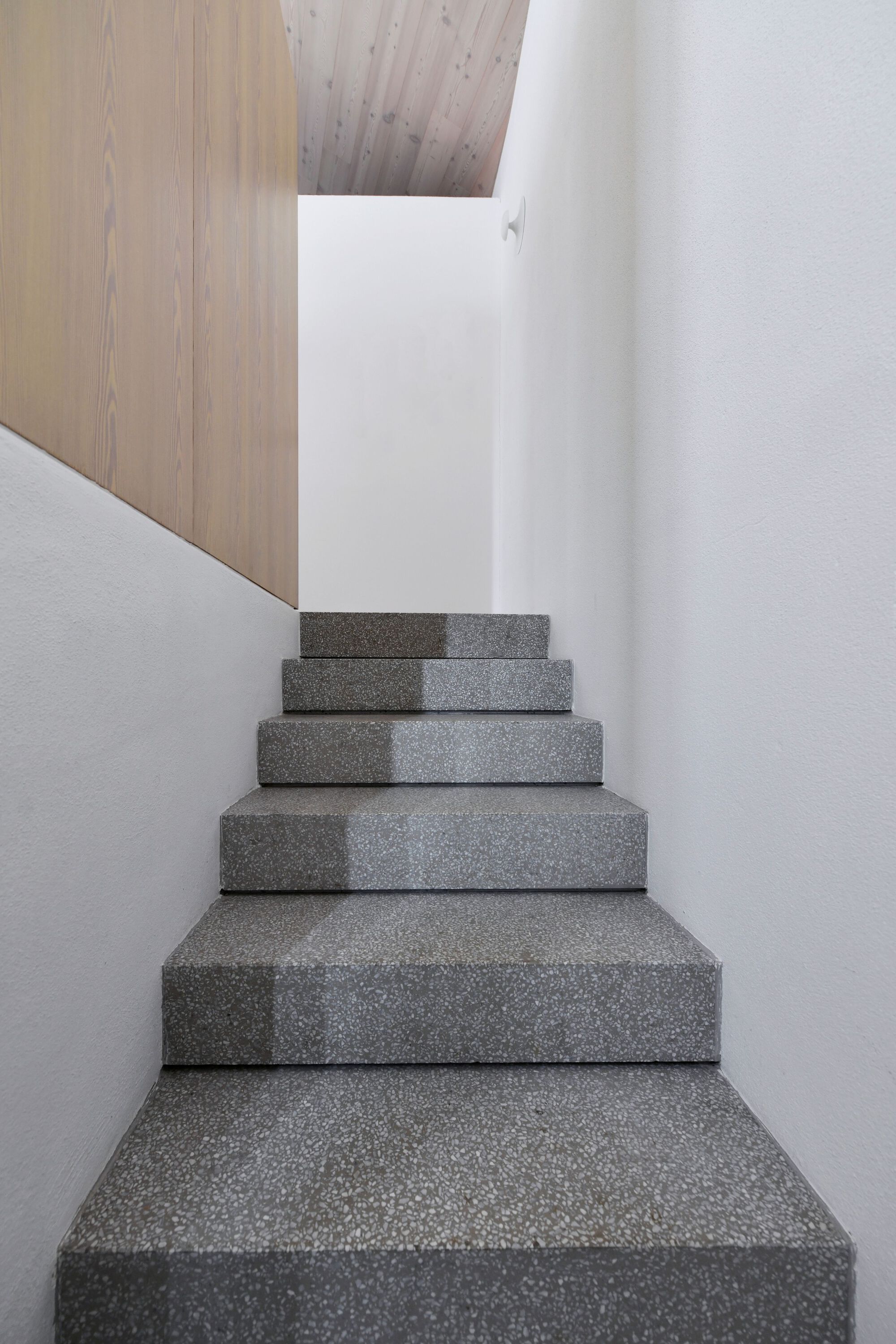 艾伯尔之家丨斯洛文尼亚丨OFIS Architects-46