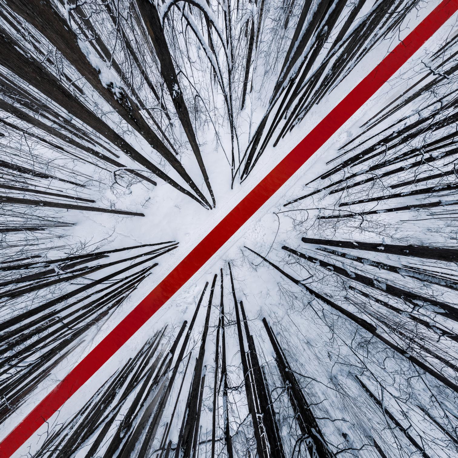 莫斯科马列维奇公园的红色地毯丨俄罗斯莫斯科丨El artista-18