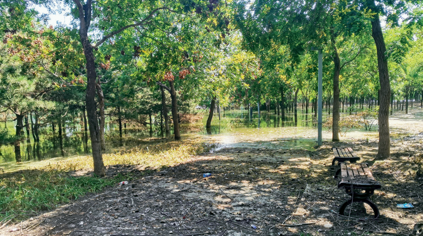 2025北京城市更新最佳实践系列⑭丨昌平区大运河源头遗址公园及白浮泉公园改造提升项目-19