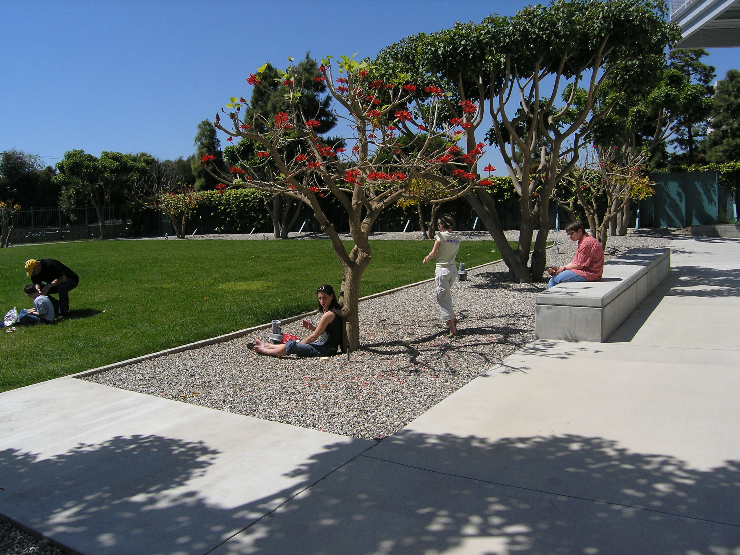 丨美国洛杉矶-21