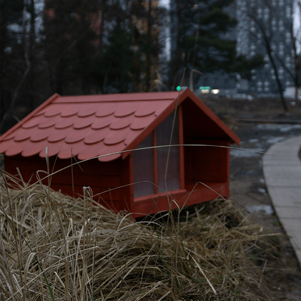 Кошкин дом（猫的房子）丨文本未明确提及-6