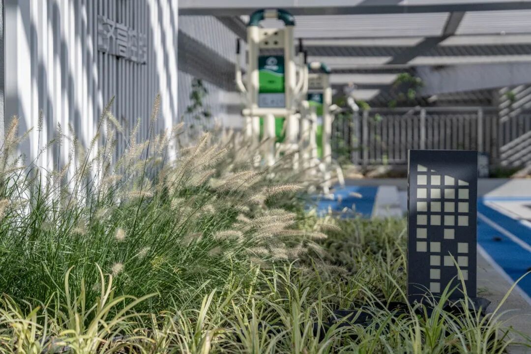 济南前沿科创基地项目景观设计丨中国济南丨同圆设计集团股份有限公司-50