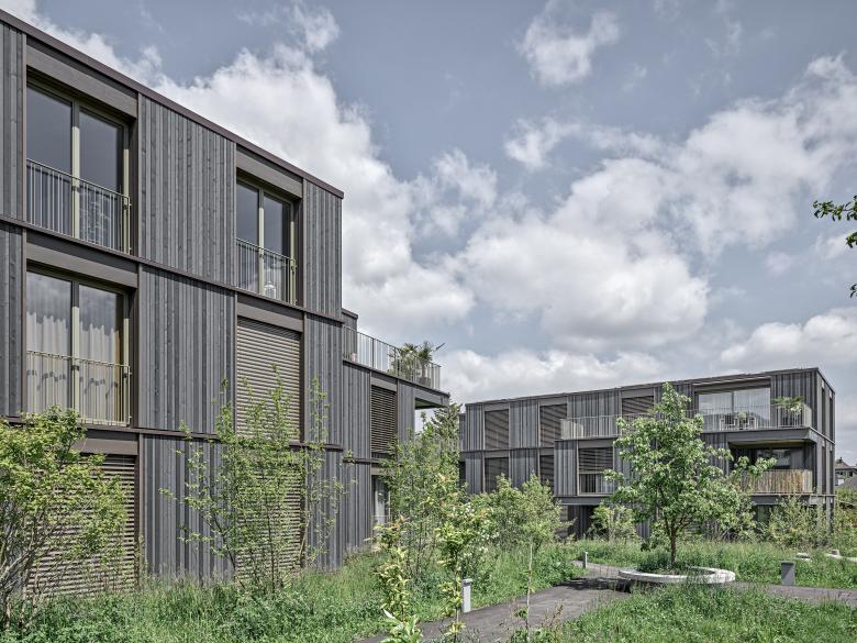 米尔拉克住宅区丨瑞士丨phalt Architekten-6