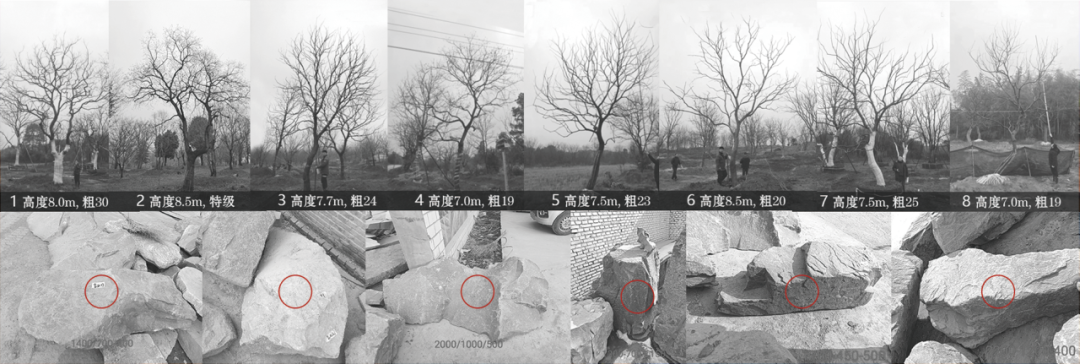 青岛中海学仕里丨中国青岛丨深圳市派澜景观规划设计有限公司-95