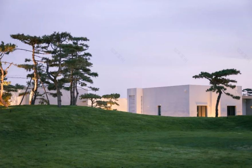 山海关金禧展示区 | 古松奇石,绘就历史画卷-48