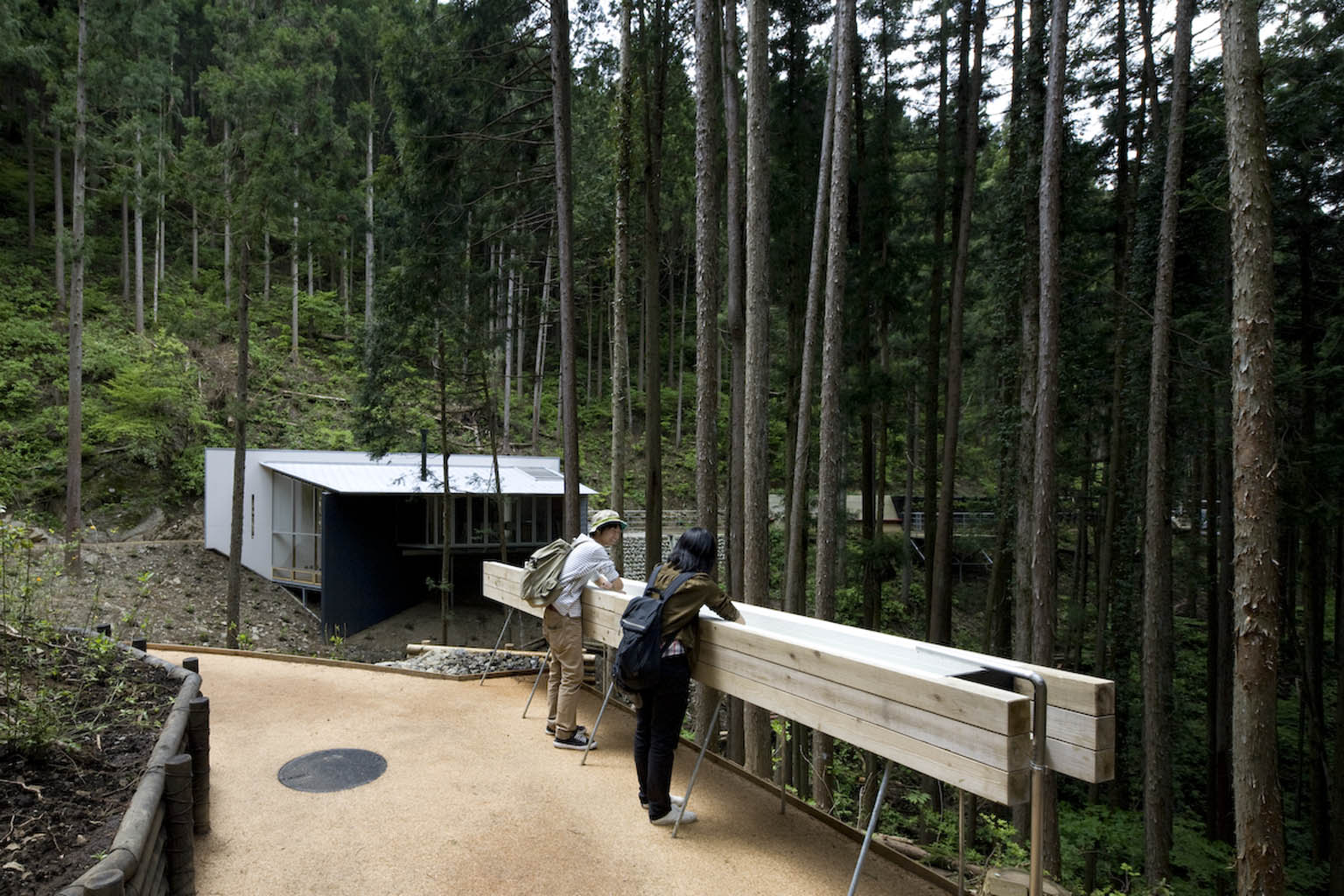 奥多摩森林疗法之路丨日本东京-23