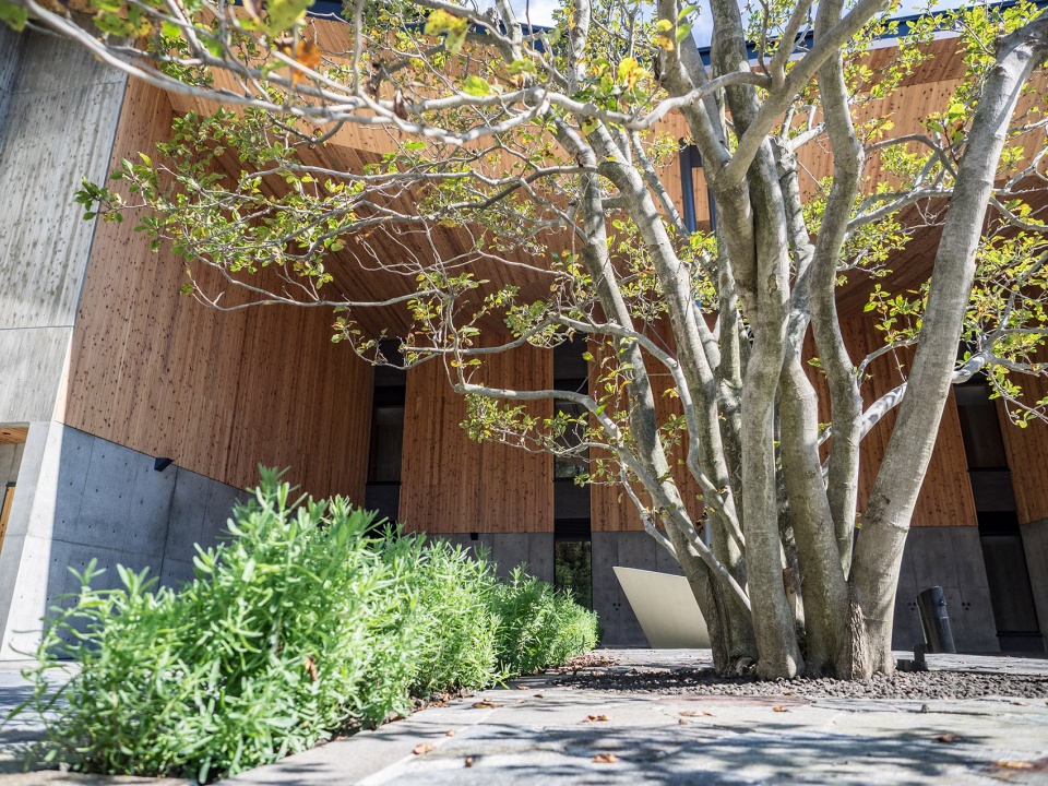 Regina Resort 旧轻井泽度假酒店丨日本丨户田芳树风景计画-23