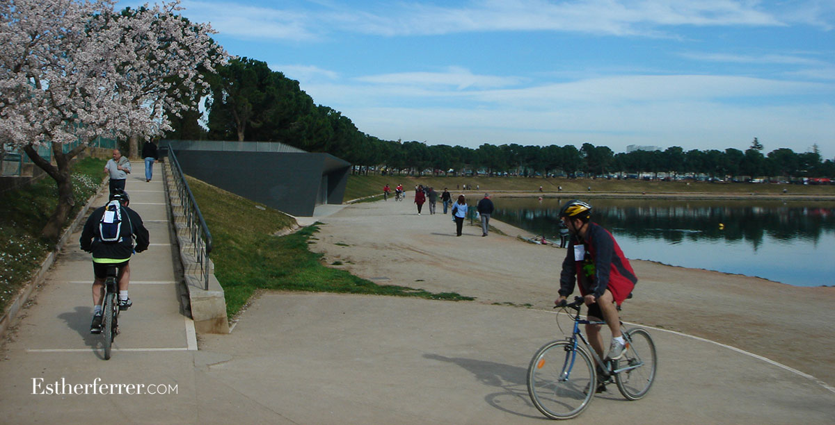 Parc de l'Agulla服务建筑-13