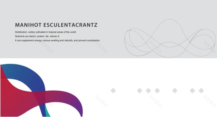 【非洲木薯联盟ACA】视觉形象设计-38