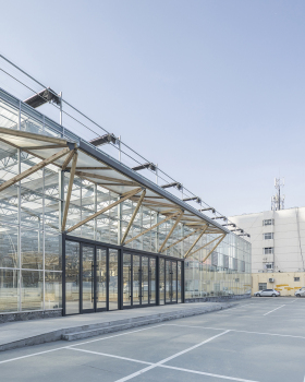 临时市场的空间秩序丨中国濮阳丨LUO studio