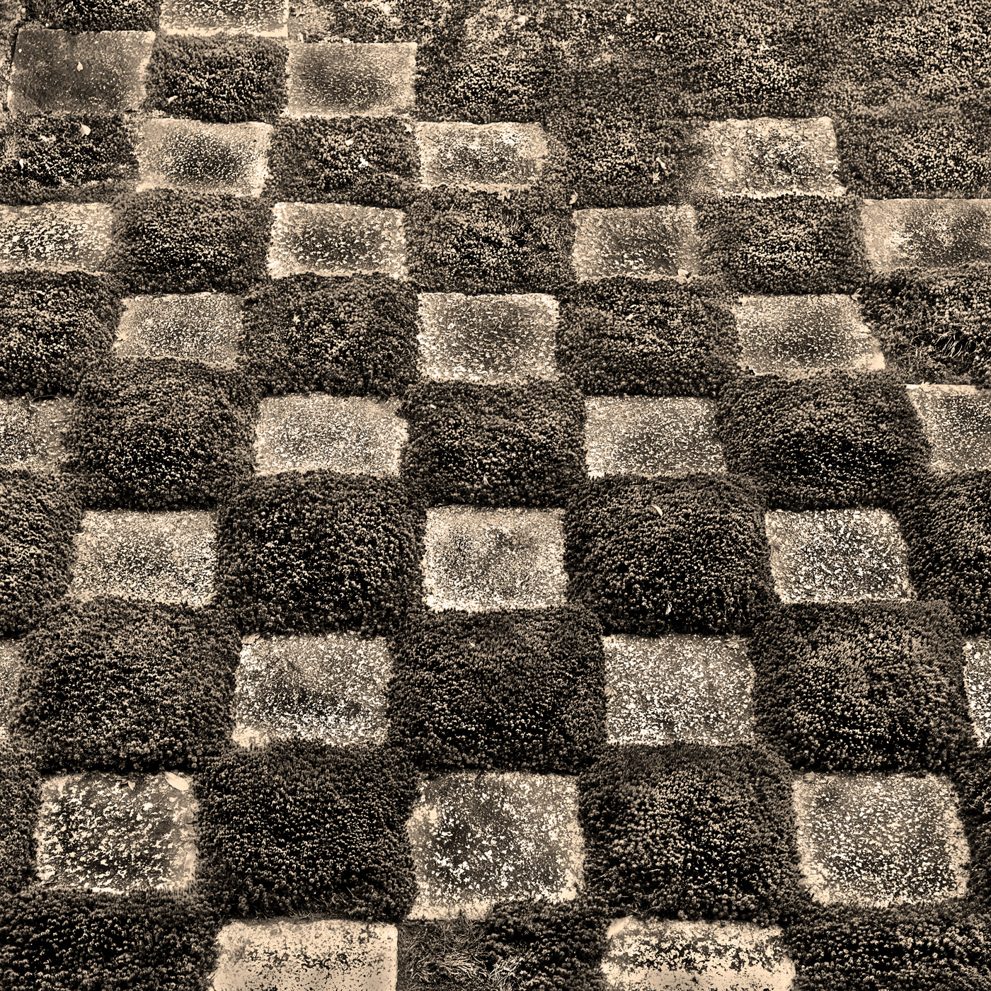 本保，日式庭园-1