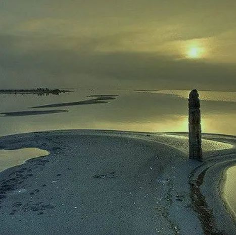 珠海自然美学科技展厅丨中国珠海丨成都九度设计方案中心-12