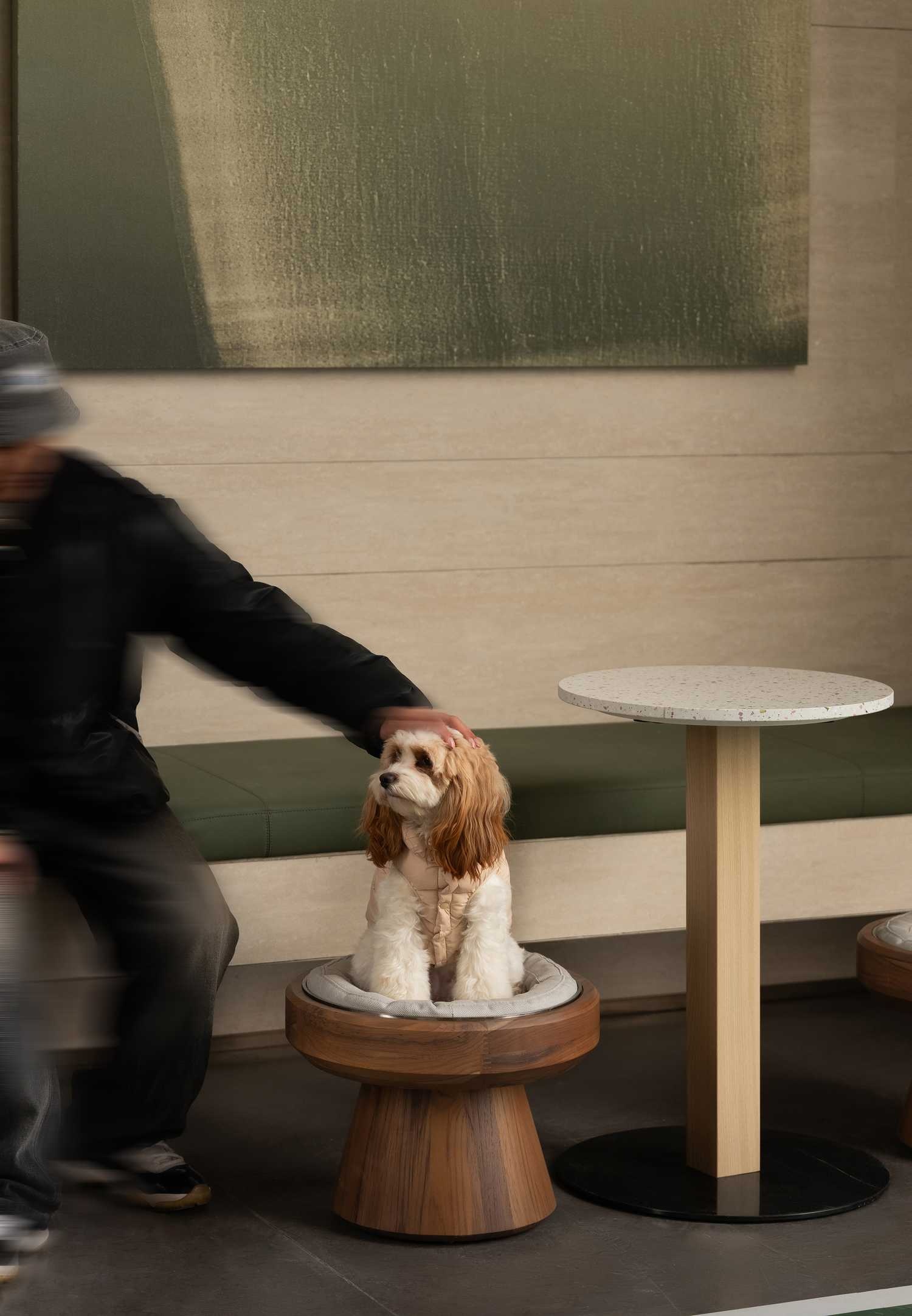 麓湖·观澜架空层丨中国成都丨千寻设计,万华同人艺社,万华室内设计中心,锐度设计-98