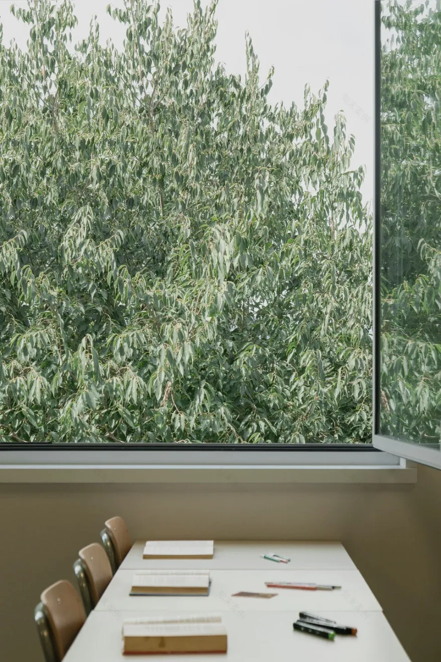 San Giusto 高中丨意大利丨Colucci&Partners-12