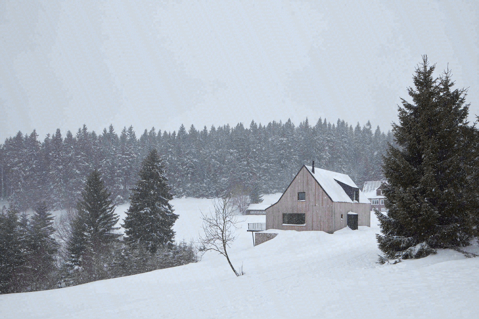 多尼马拉乌帕家庭住宅丨捷克丨mar.s architects-37