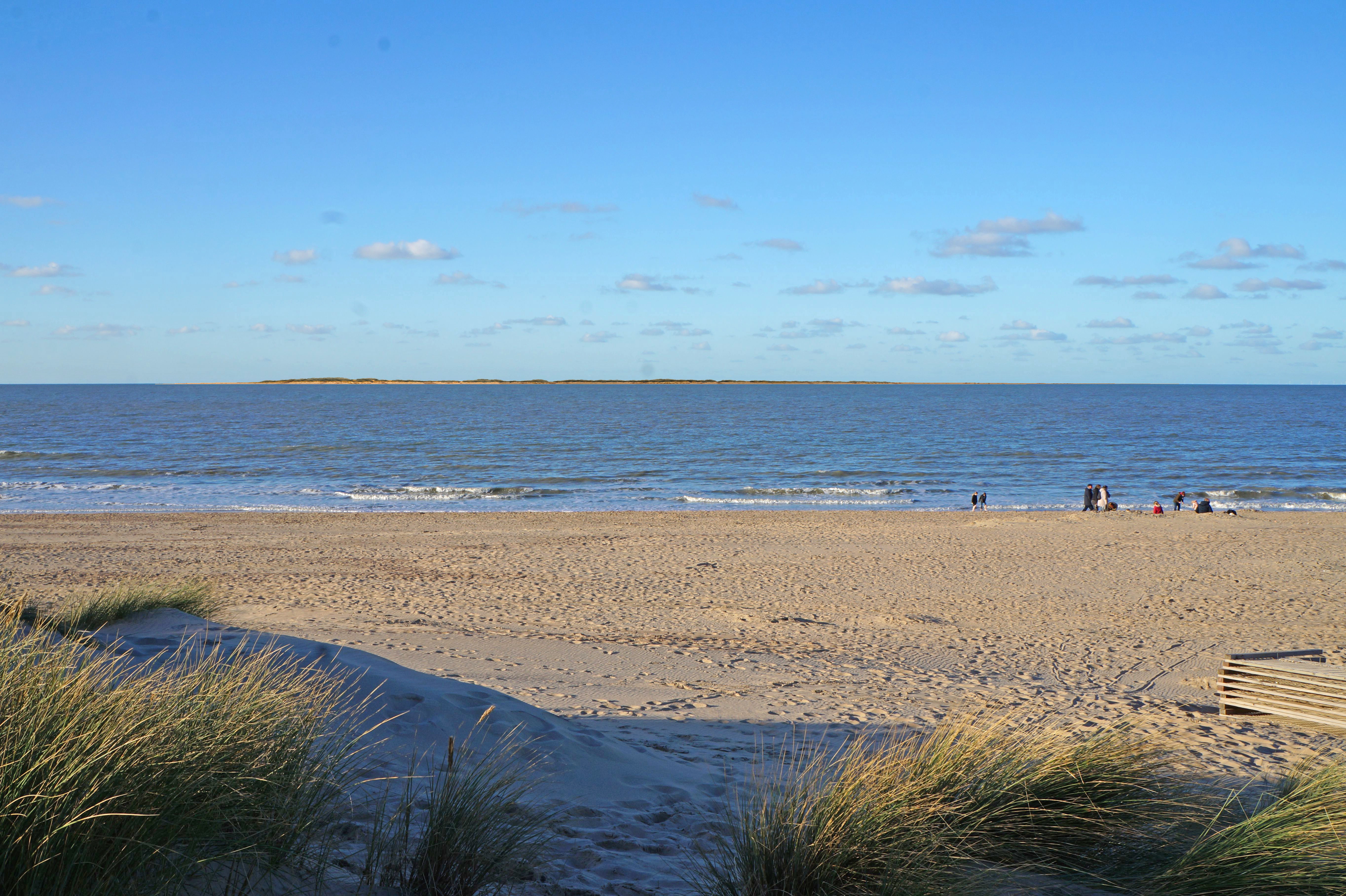 海洋多功能景观基础设施设计丨ORG Permanent Modernity-22