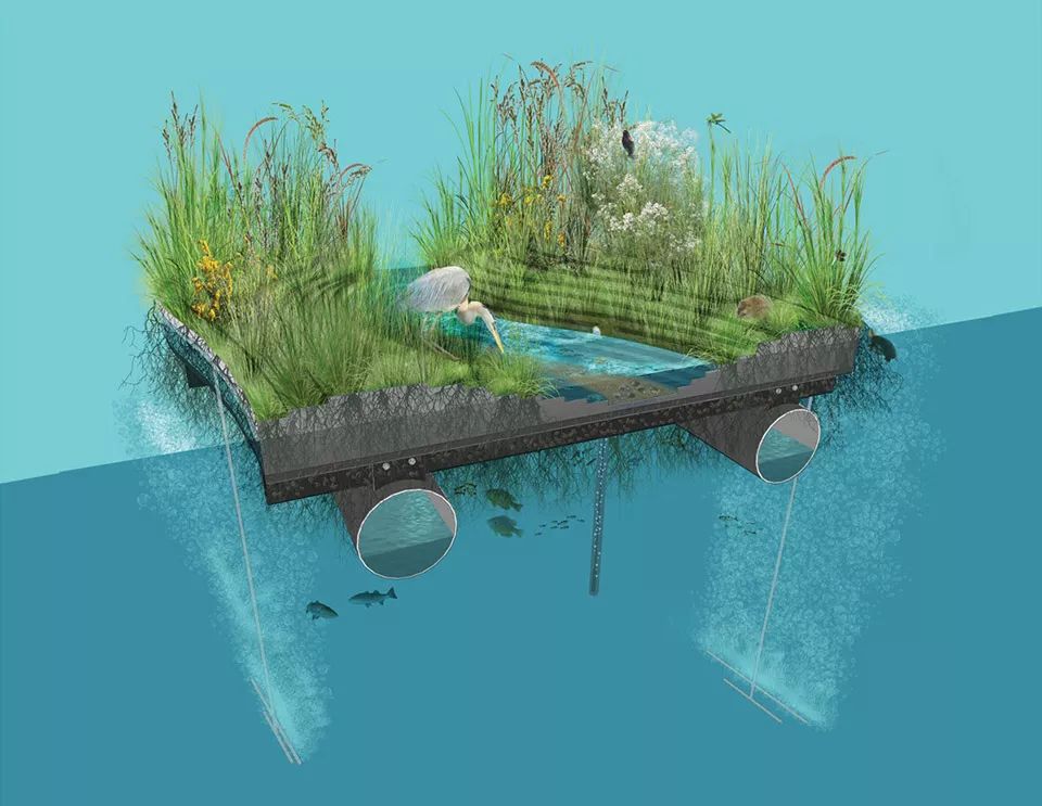 2018ASLA 研究奖得主 | 巴尔的摩漂浮湿地改善水质，促进生物多样性-27