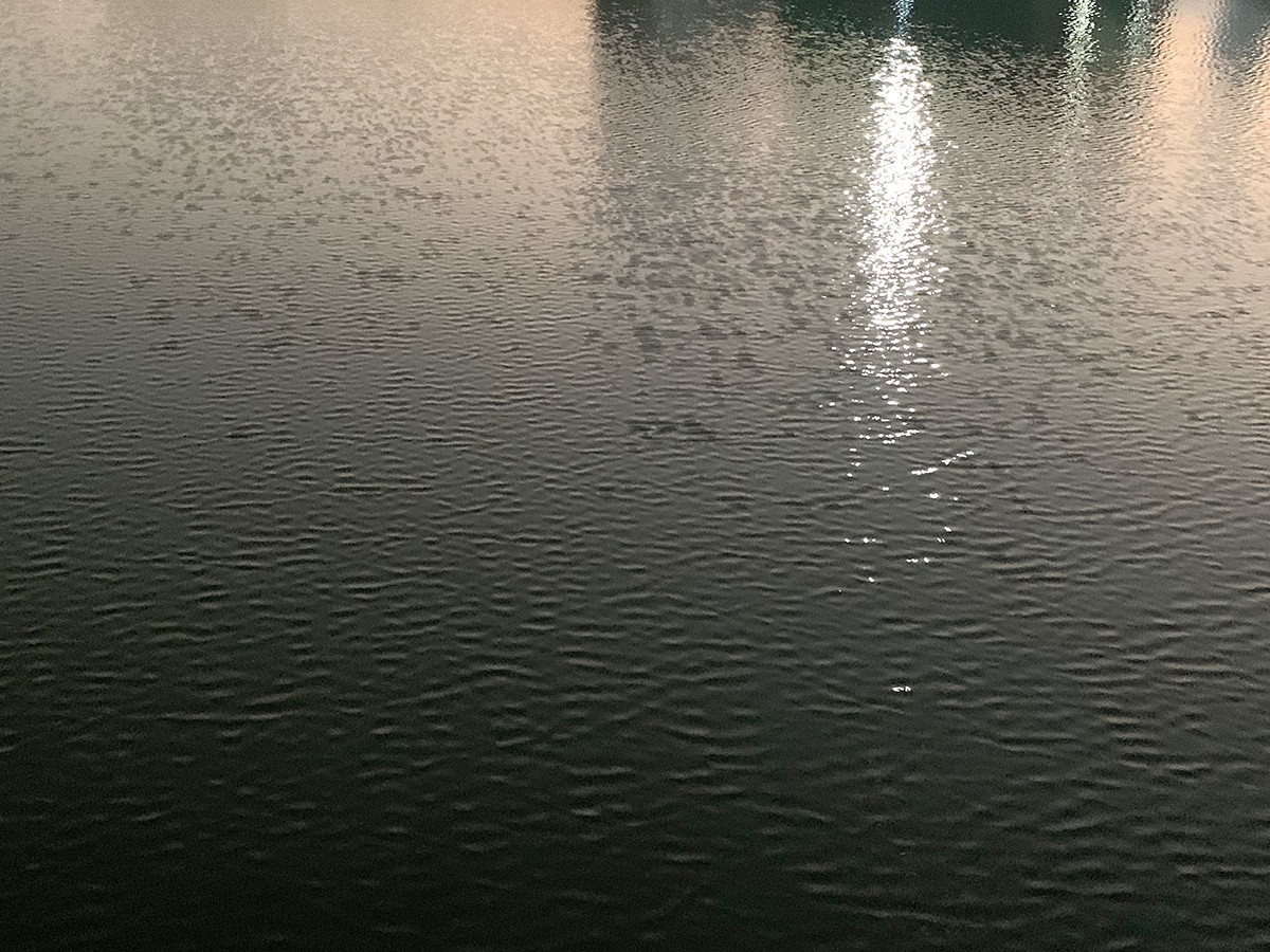 千田一厨海鲜火锅餐厅丨中国深圳丨XIN 辛视设计-39