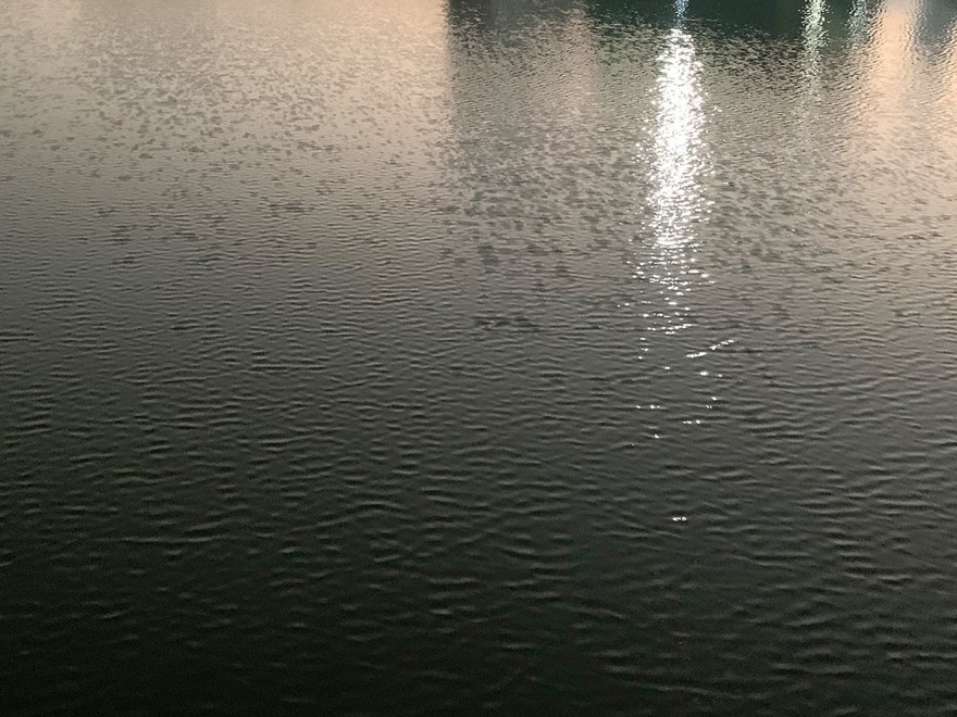 千田一厨海鲜火锅餐厅丨中国深圳丨XIN 辛视设计-39