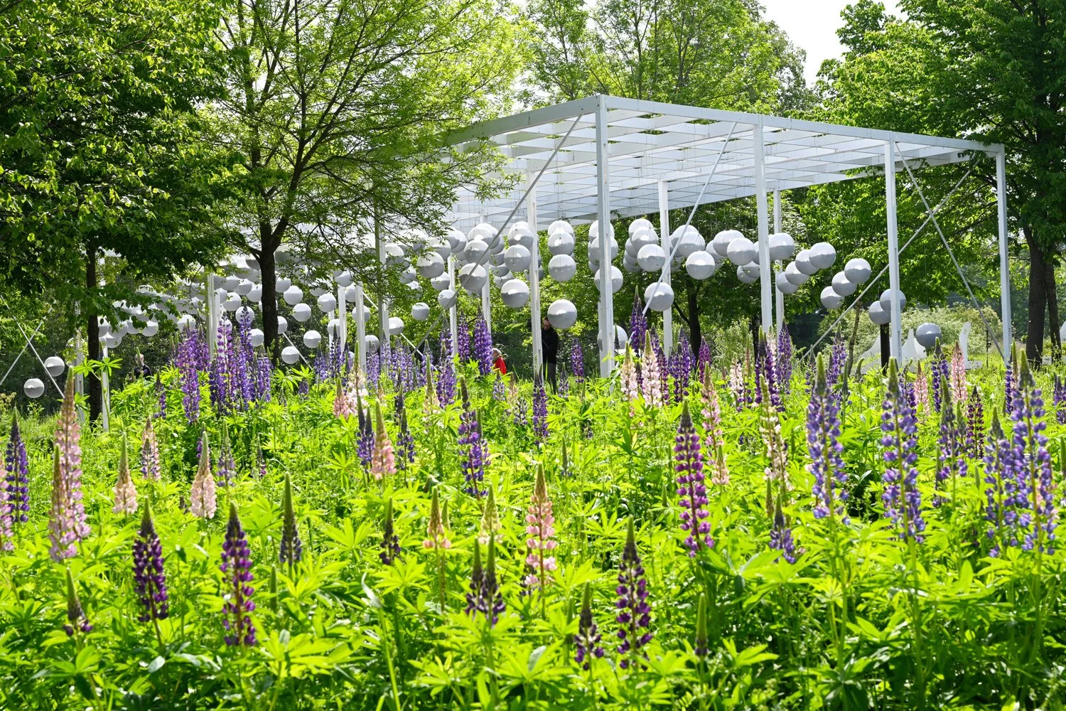 地形工作重力场-23