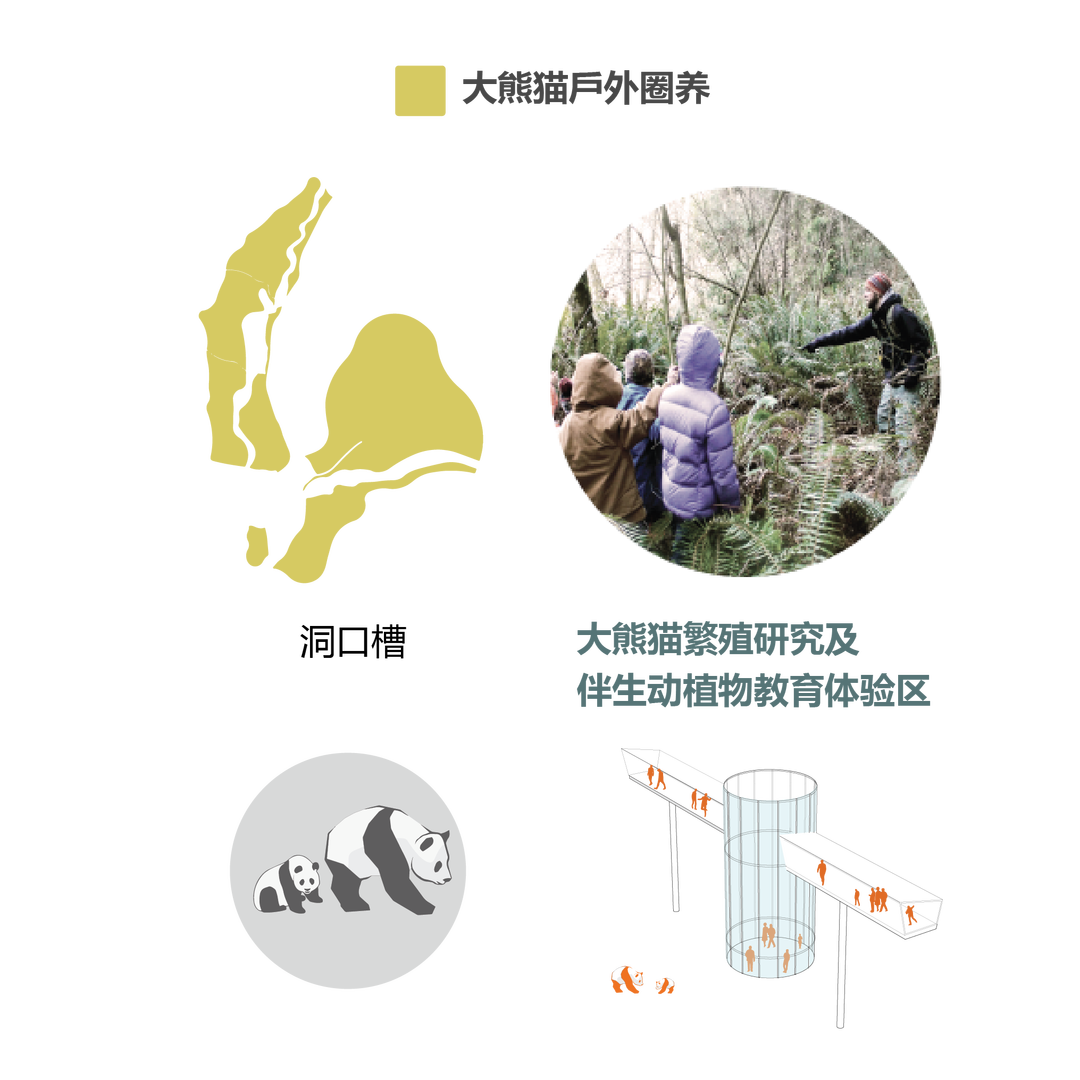 四川卧龙大熊猫自然保护区总体规划 | 让大熊猫回家的设计之路-49
