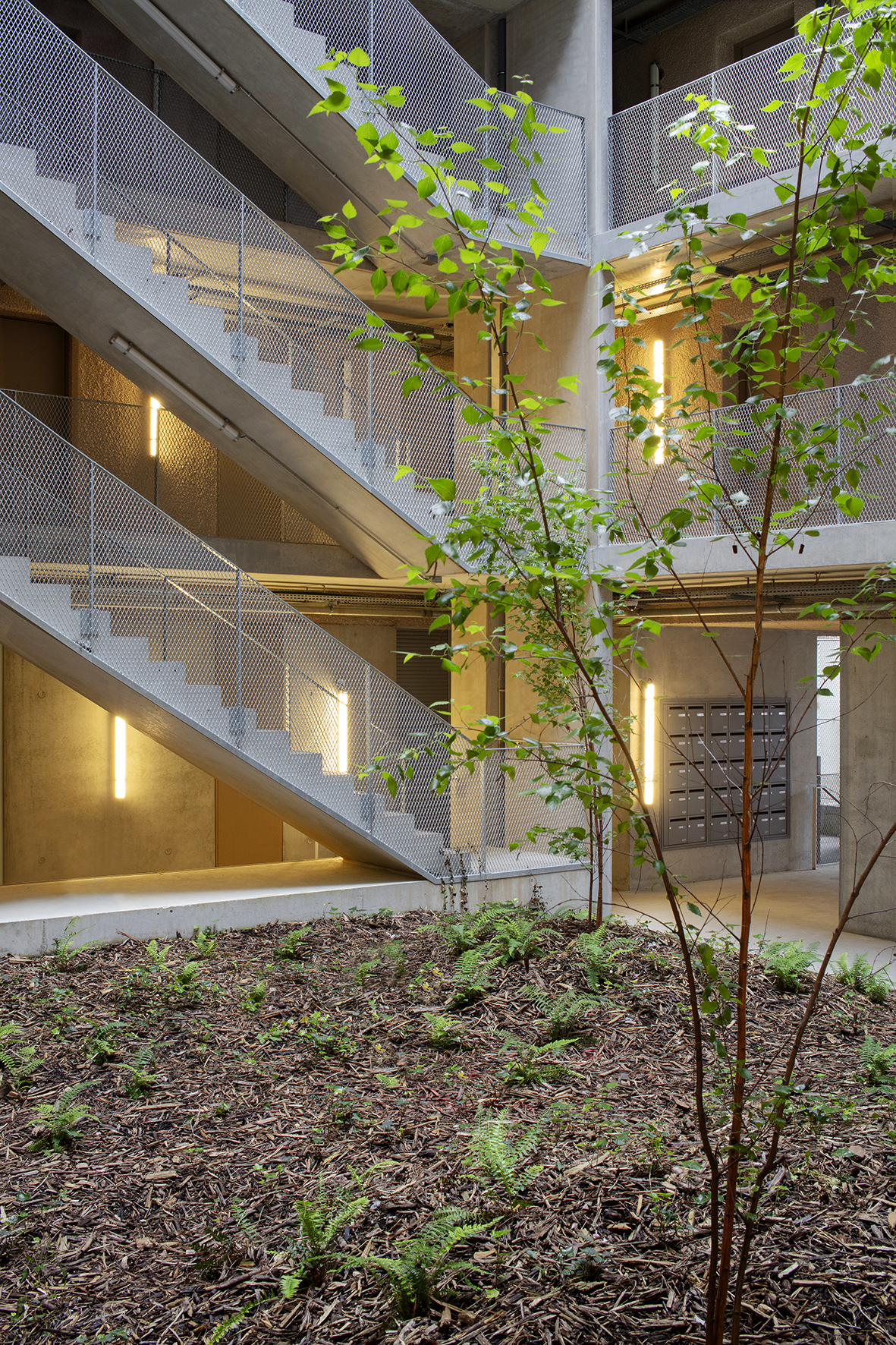 丨法国丨A6A,Cetab,Borteq-21