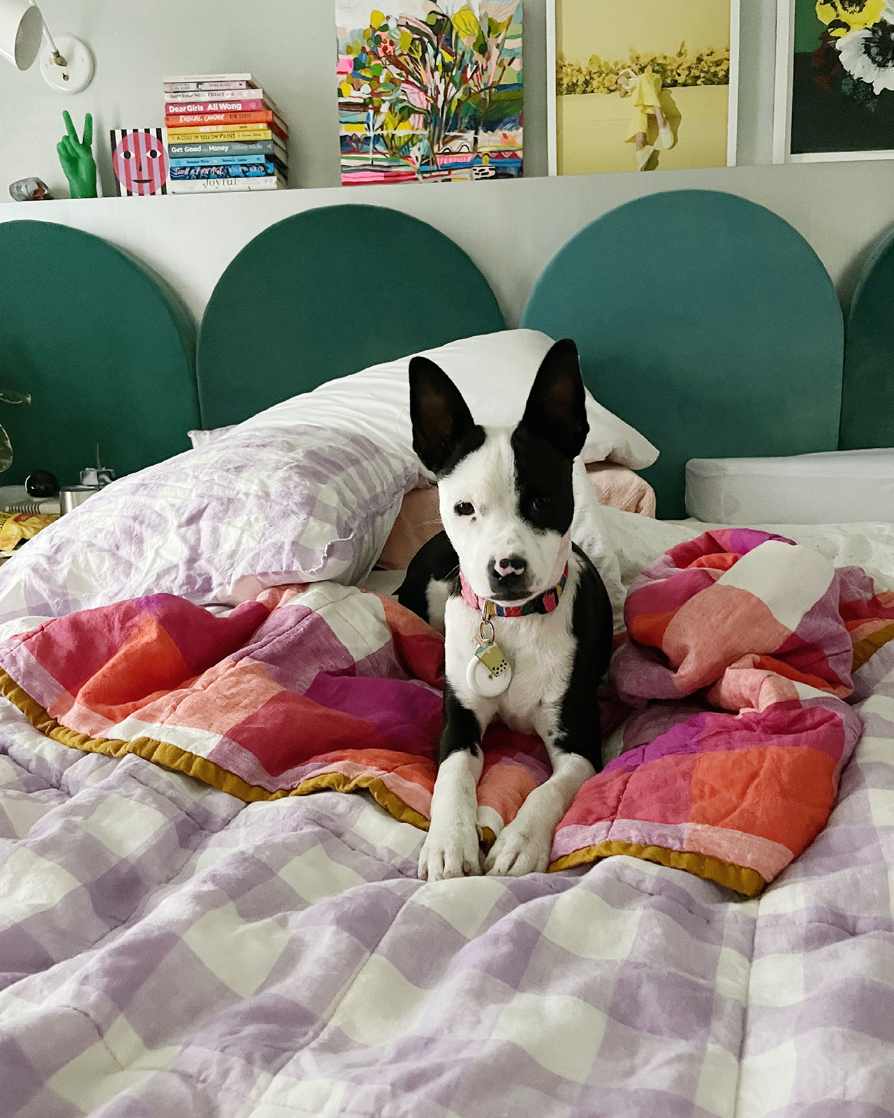 欢乐之家 | 洛杉矶 Oh Joy! 创始人 Joy Cho 现代家居设计-8