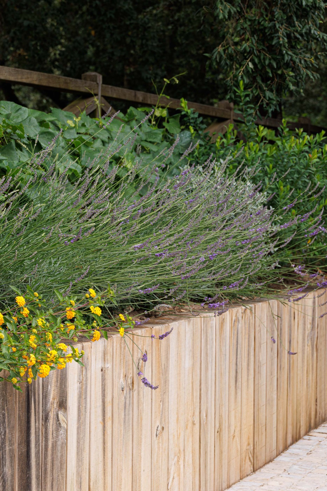 CC住宅 – Quinta dos Carvalhos丨葡萄牙丨Inception Architects Studio-159