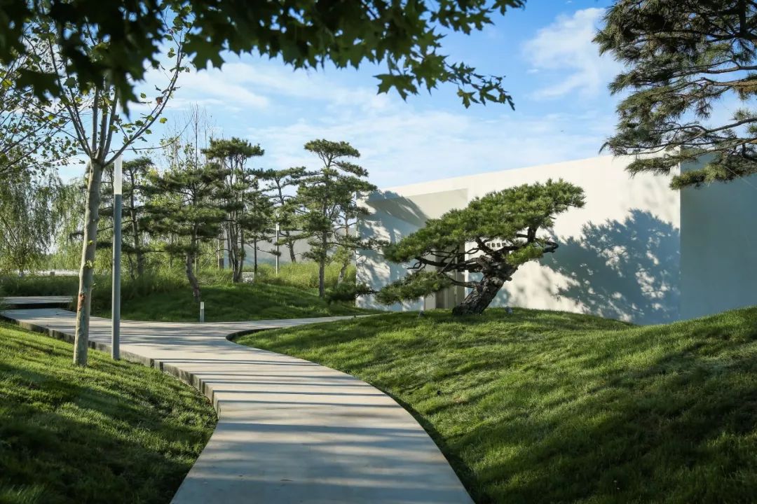 山海关金禧展示区 | 古松奇石，绘就历史画卷-57