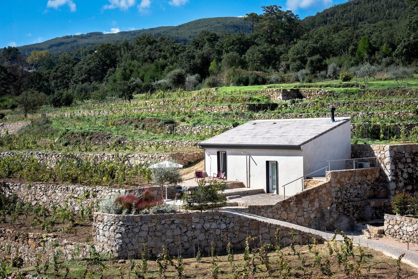 莉拉庄园丨葡萄牙丨Studio Arte Architecture & Design-22