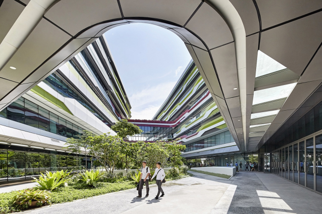 新加坡科技设计大学园区丨UNStudio,DP Architects-23