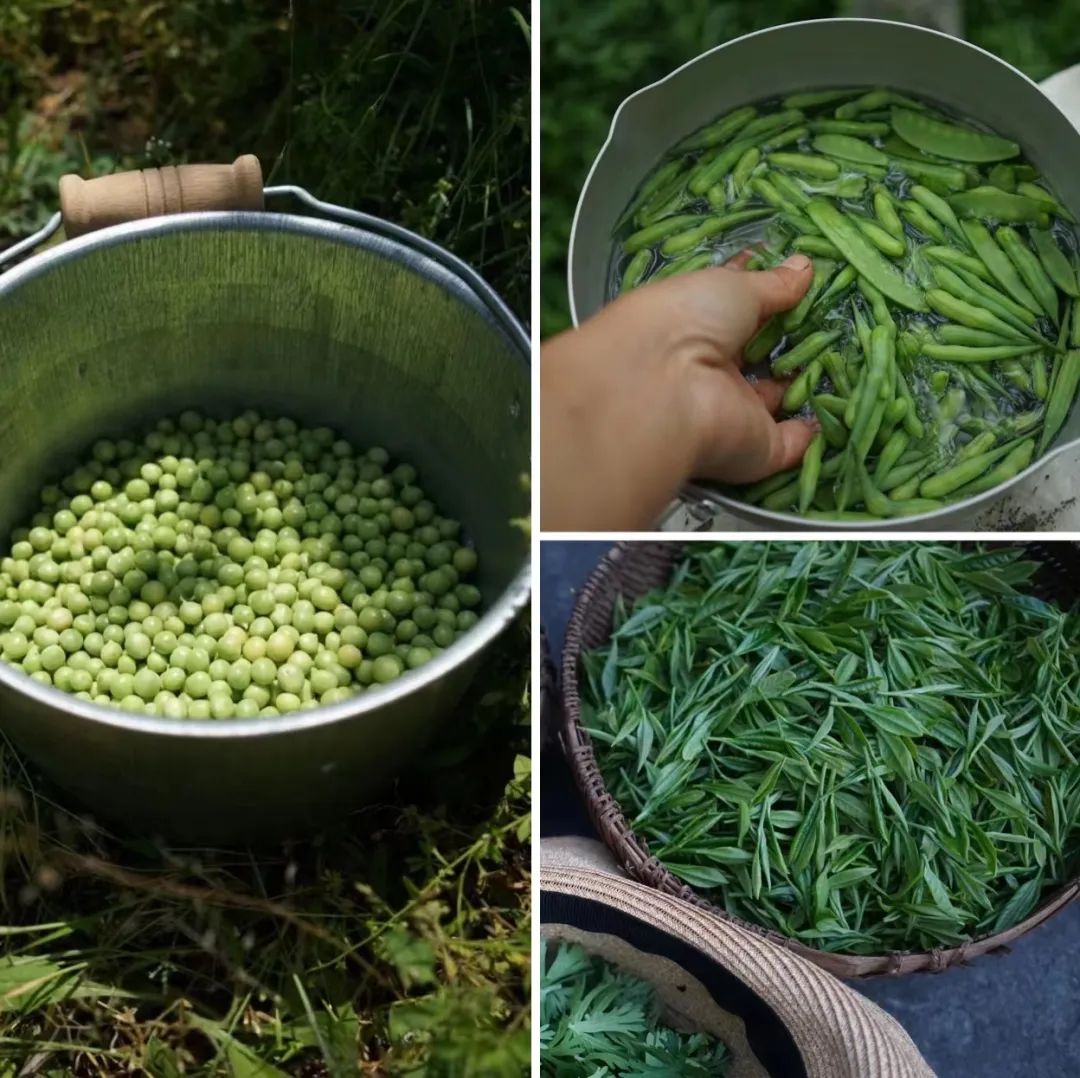 回声花园 · IT 夫妇的乡野生活丨中国黄山丨红子,小可夫妇-13
