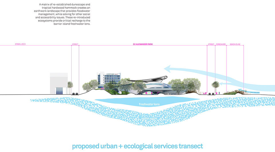 DC Ale·ander公园丨Brooks + Scarpa-46