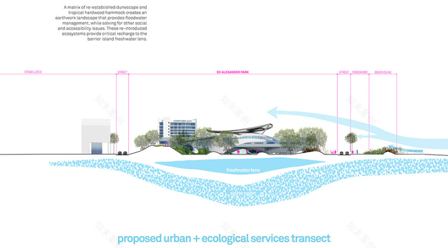 DC Ale·ander公园丨Brooks + Scarpa-46