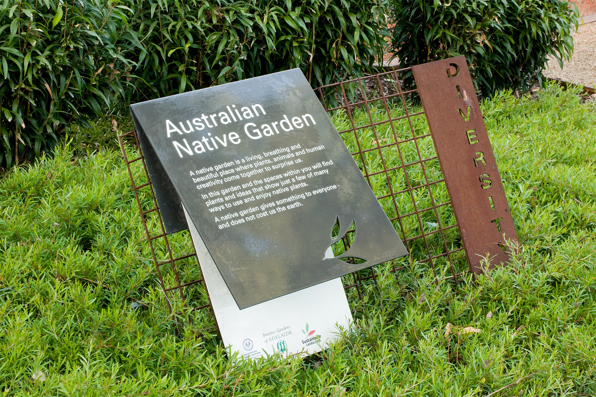 阿德莱德植物园本土花园丨澳大利亚阿德莱德丨TCL-27