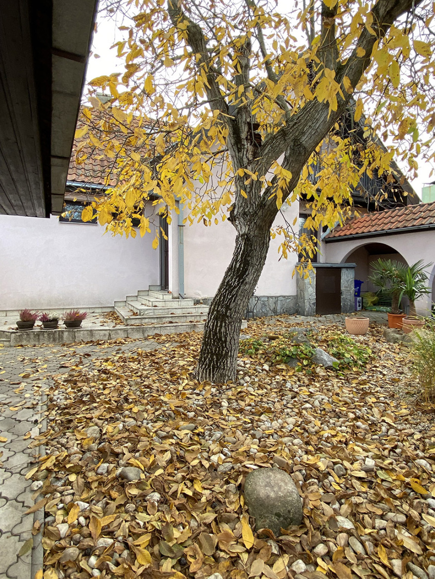 老宅的再次翻修,斯洛伐克丨Kilo,Honč-82