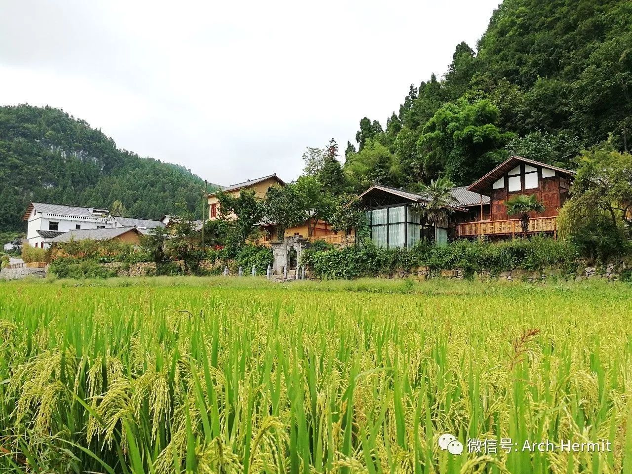 四川古蔺白马村大同民宿酒店——原生态与现代化的完美融合-103