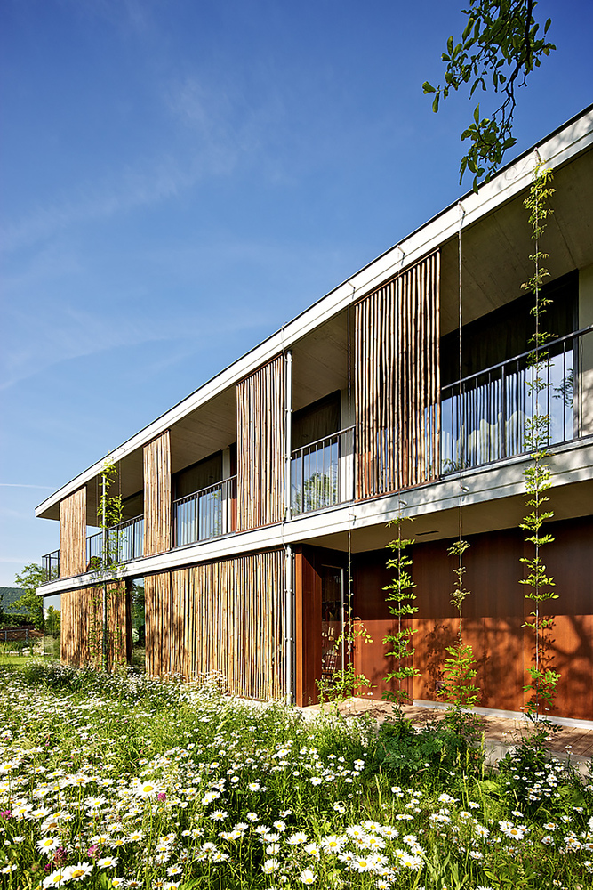 捷克布尔诺竹子别墅丨Atelier Stepan-19