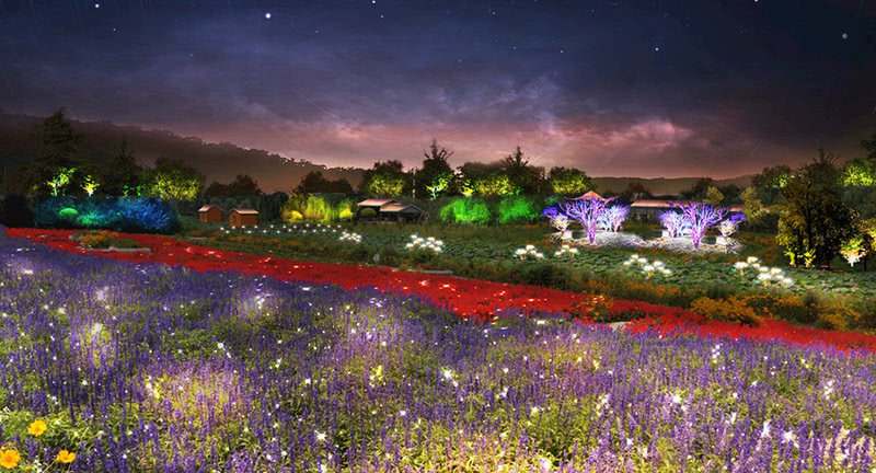 公园夜游景区夜景灯光设计案例效果图-5