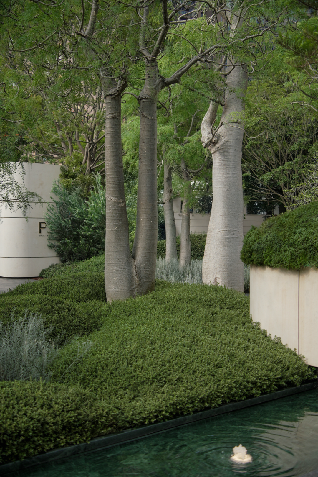 深圳后海招商玺丨中国深圳丨承迹景观Change Studio等多家公司-9