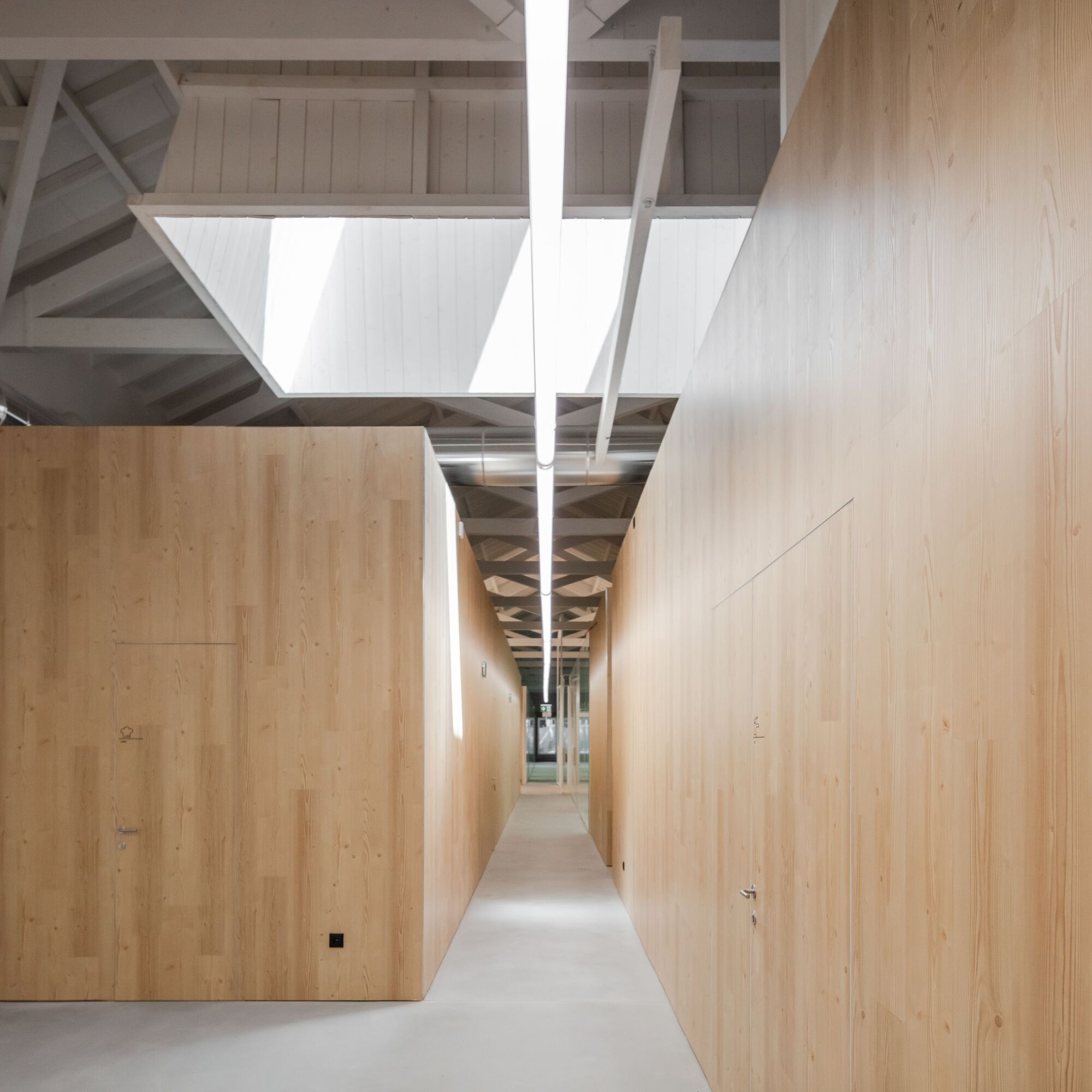 联合国大学吉马良斯校区,Pitagoras Group丨葡萄牙-14