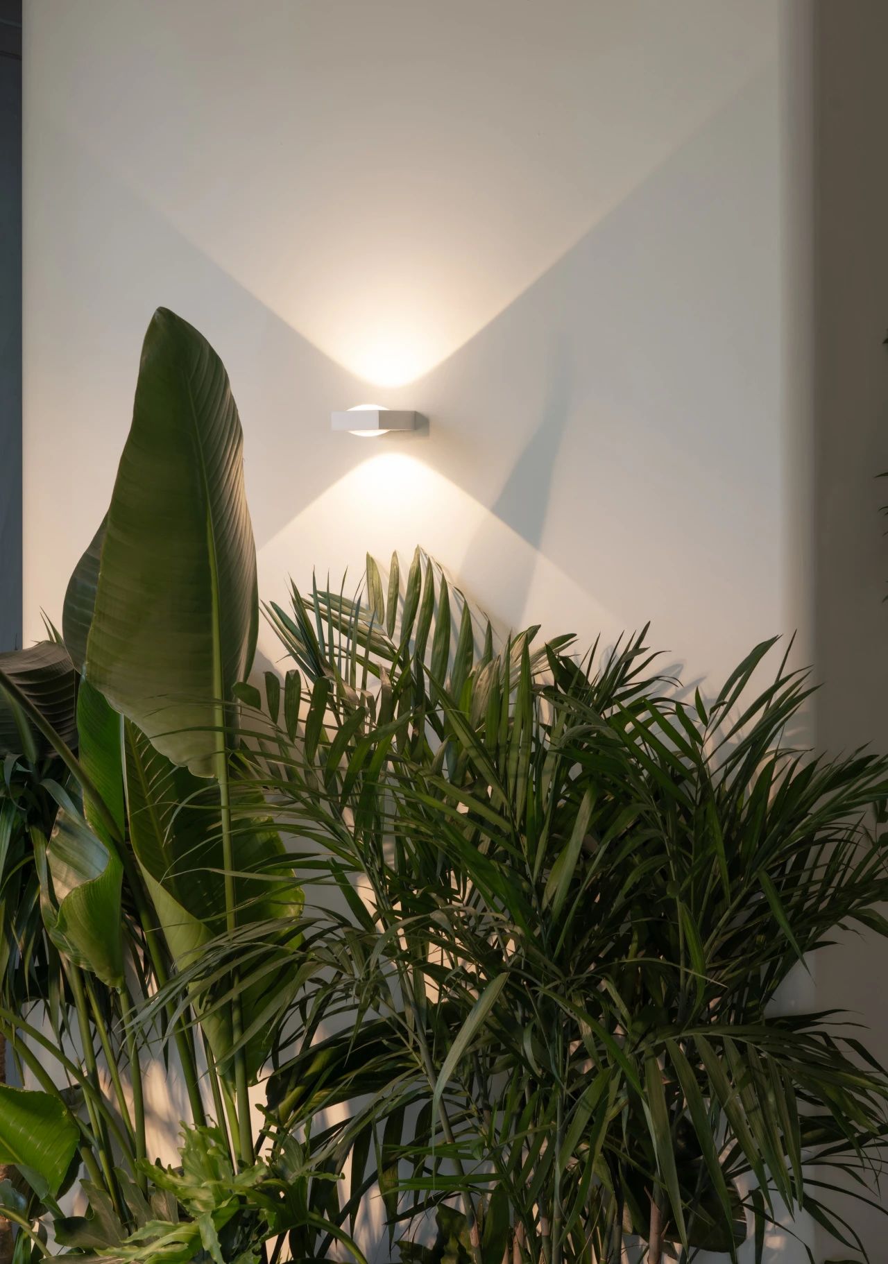 SUBLIME 升纬健康科技中心丨中国杭州丨LU DESIGN 野路建筑设计事务所-40